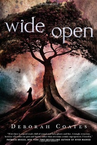 «Wide Open»