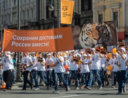  День тигра во Владивостоке