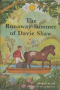 The Runaway Summer of Davie Shaw